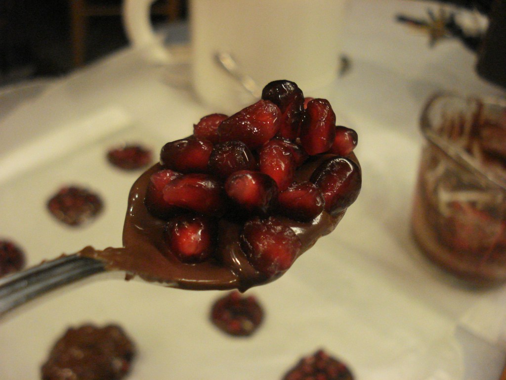 pomegranate chocolate 032