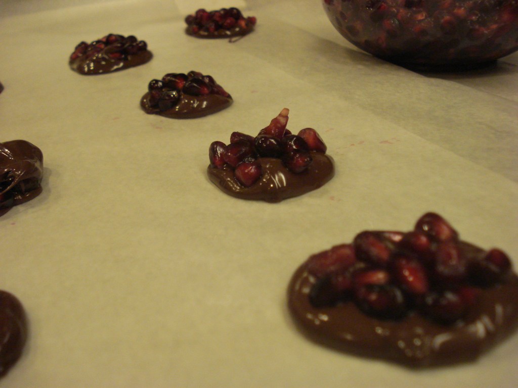 pomegranate chocolate 035