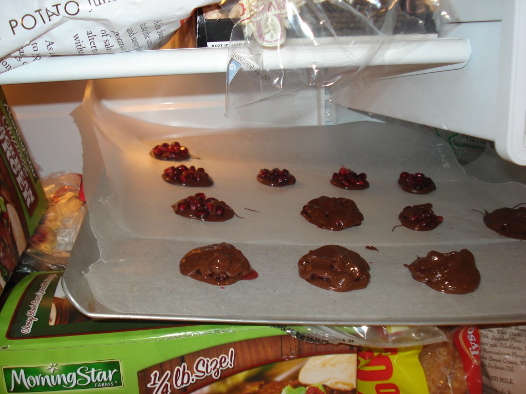 pomegranate chocolate 039