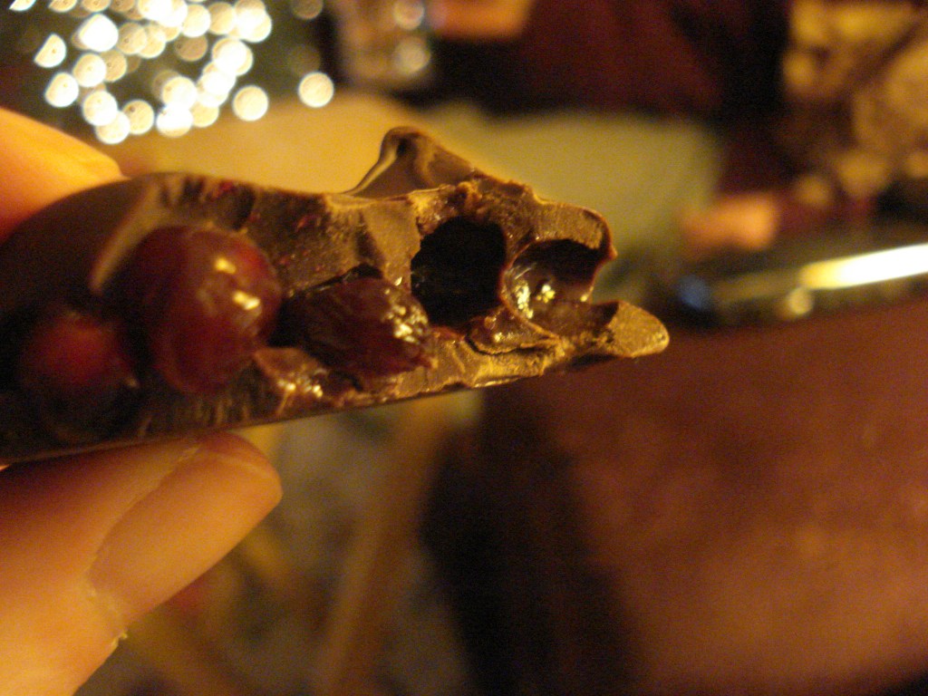 pomegranate chocolate 048