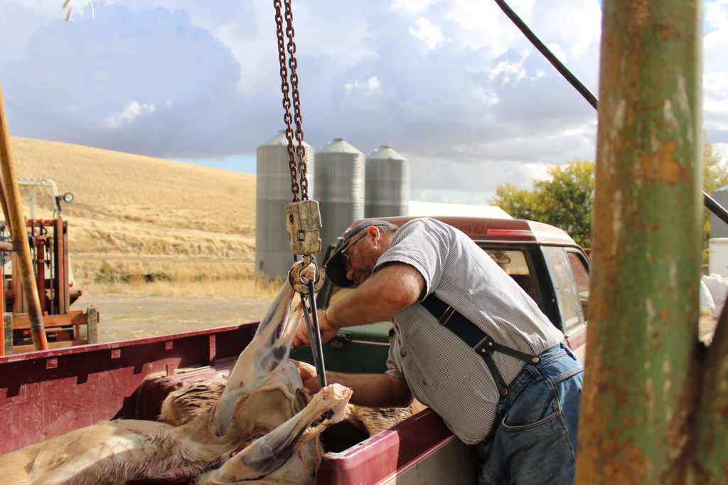 Through the Ginger Window