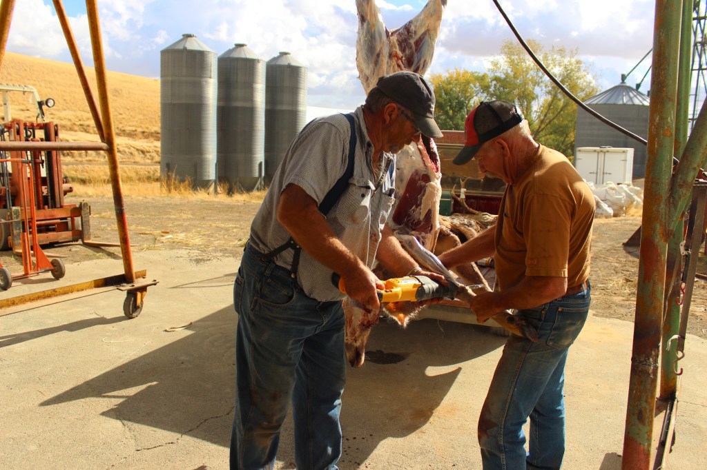 Through the Ginger Window