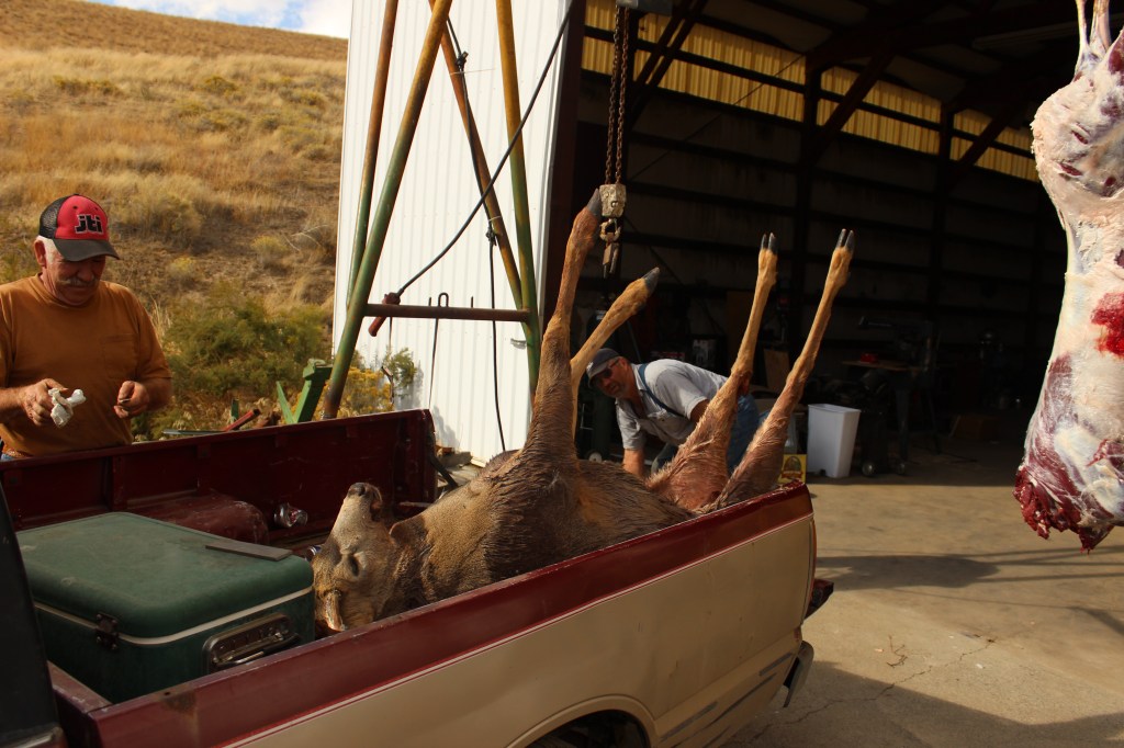 Through the Ginger Window