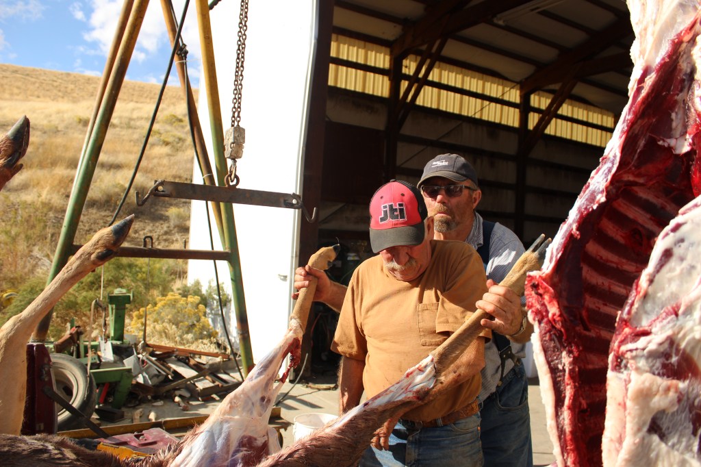Through the Ginger Window