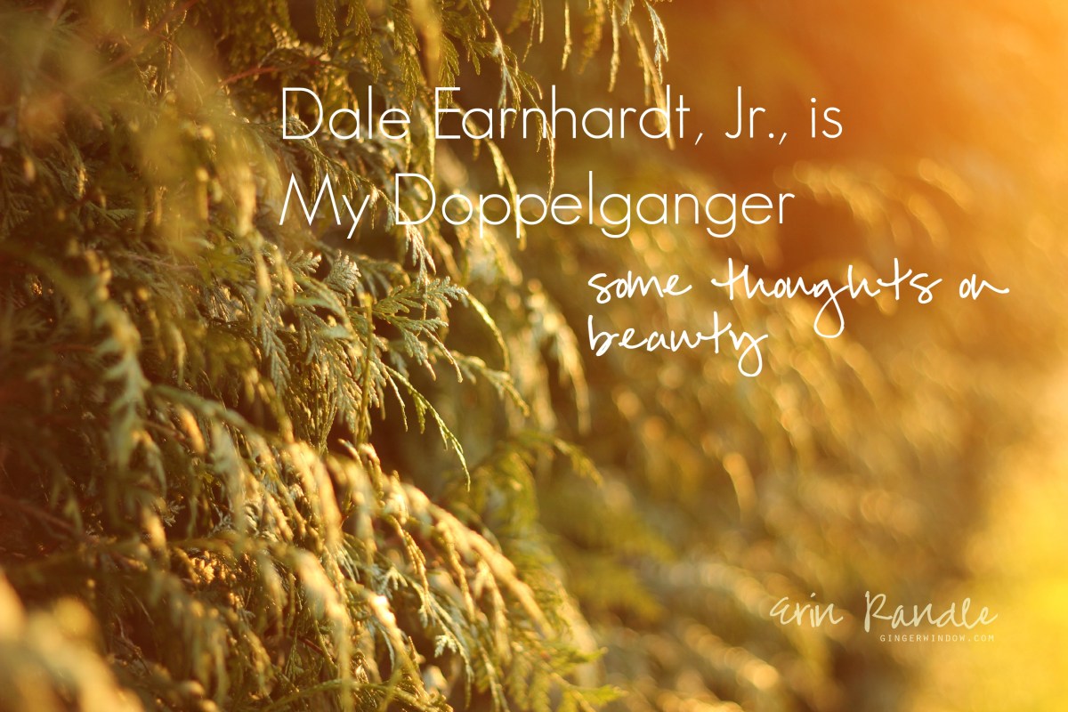 Through the Ginger Window: Dale Earnhardt, Jr., is my doppelganger || Some thoughts on beauty